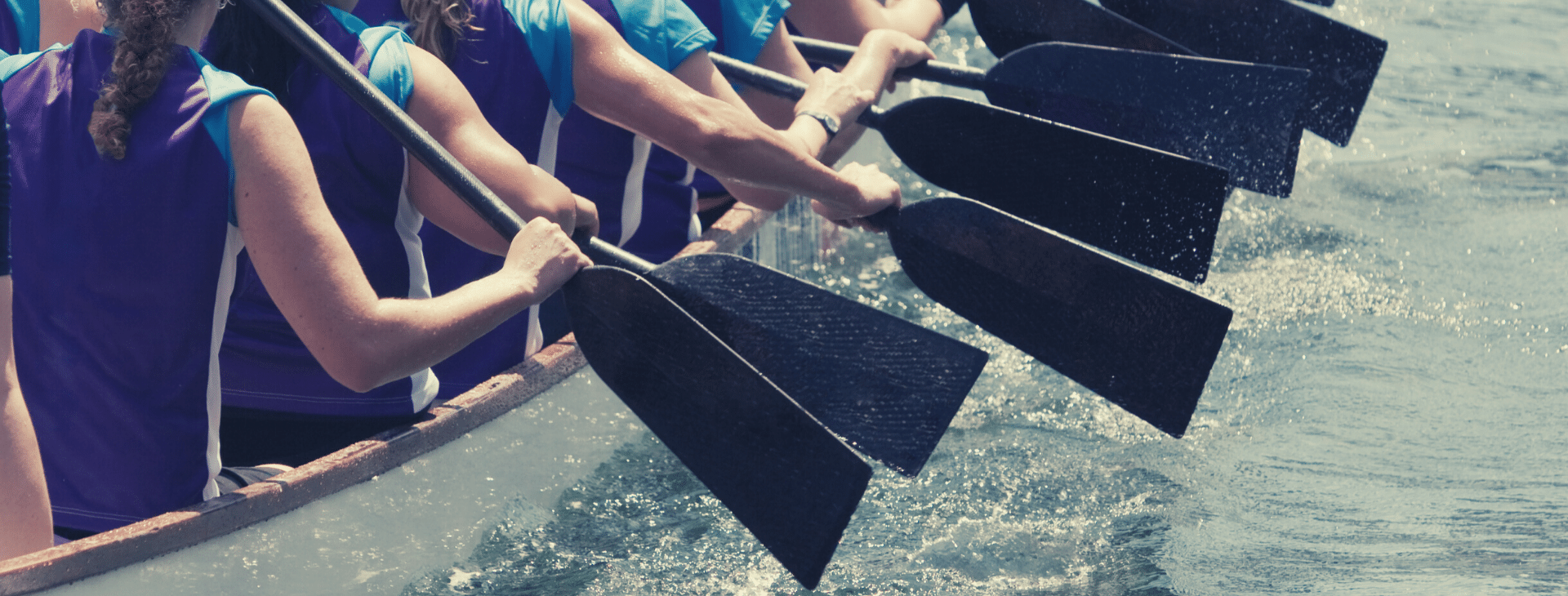 Dragon boat paddles